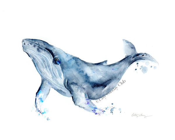 Humpback Whale Watercolor Art Print