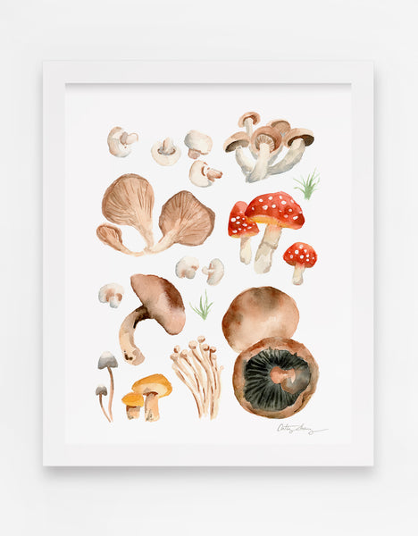 Mushroom Variety Watercolor Art Print
