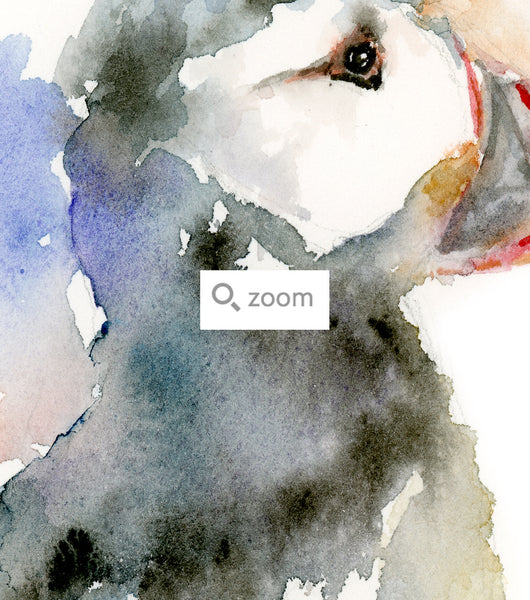 Ponderous Puffin Watercolor Art Print