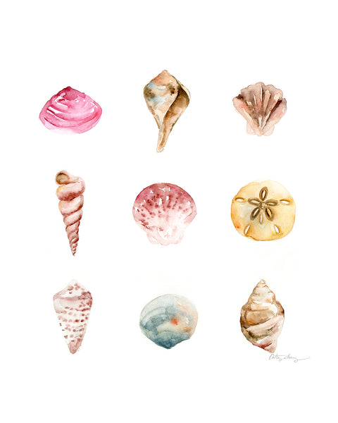 Sea Shells Watercolor Art Print