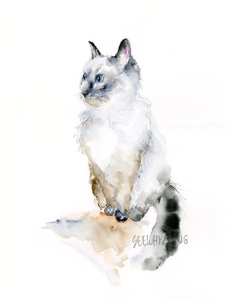 Ragdoll Cat - Watercolor Fine Art Print