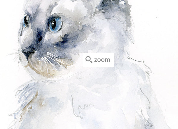 Ragdoll Cat - Watercolor Fine Art Print