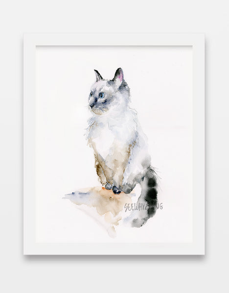 Ragdoll Cat - Watercolor Fine Art Print