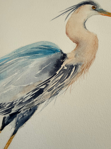 Blue Heron - Original Watercolor Painting 11"x14"