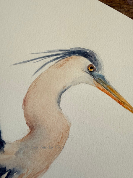 Blue Heron - Original Watercolor Painting 11"x14"