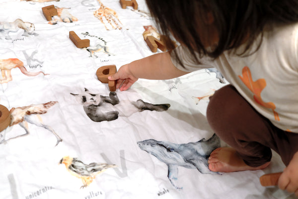 Baby and Toddler Blanket - Alphabet Animals