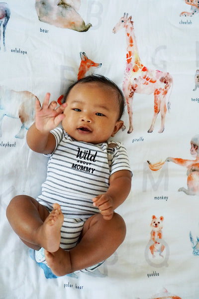 Baby and Toddler Blanket - Alphabet Animals