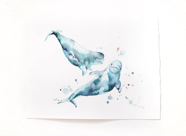 beluga whale watercolor art