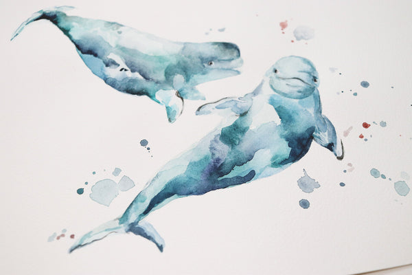 beluga whale watercolor art