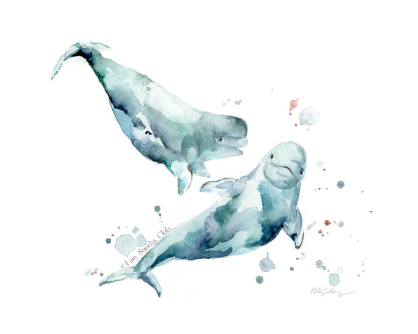 beluga whale watercolor art print for nursery and ocean themed wall decor