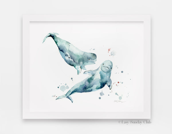 beluga whale watercolor art print
