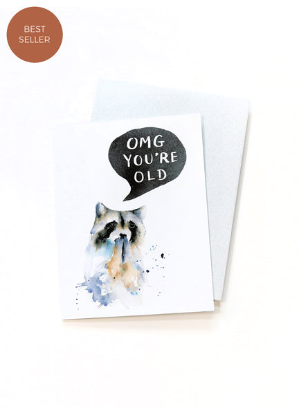 Raccoon Birthday - OMG You're Old! Card