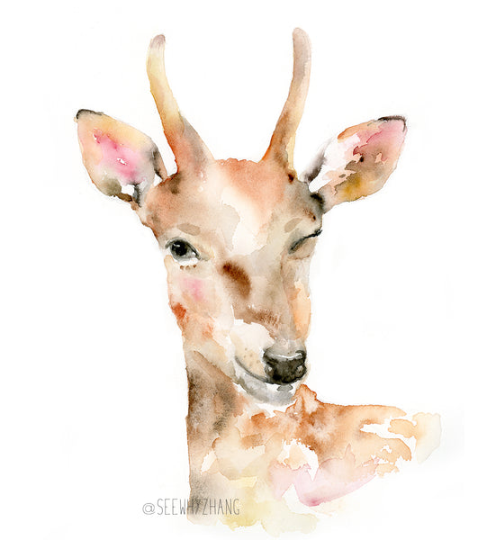 Woodland Animals Set of 3 - Deer, Raccoon, Fox - Watercolor Art Prints
