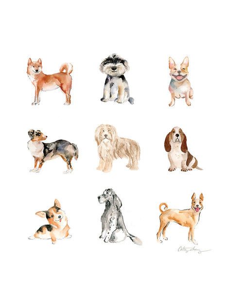 image of 9 watercolor dog illustrations in a 3x3 grid