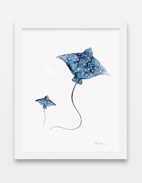 eagle spotted rays watercolor print