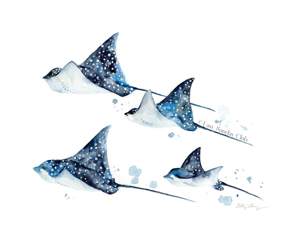 Group of spotted eagle rays | manta rays | stingray watercolor art print