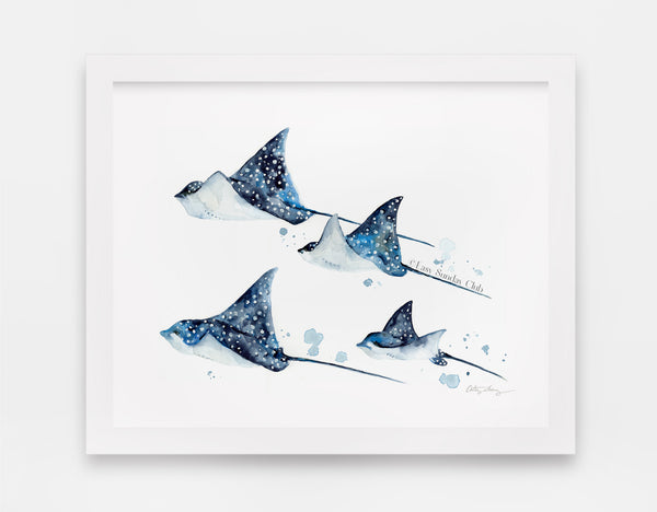 Spotted eagle rays watercolor art print