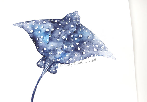 Two Spotted Eagle Rays - Original Watercolor Painting 11"x14"