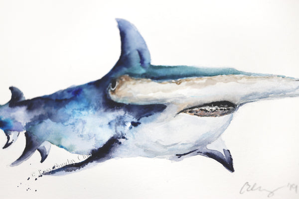 hammerhead shark watercolor painting