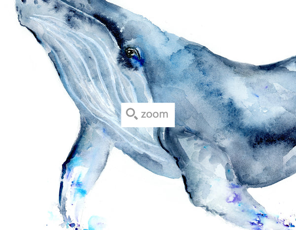 humpback whale watercolor art print