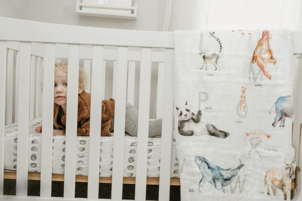 Baby and Toddler Blanket - Alphabet Animals