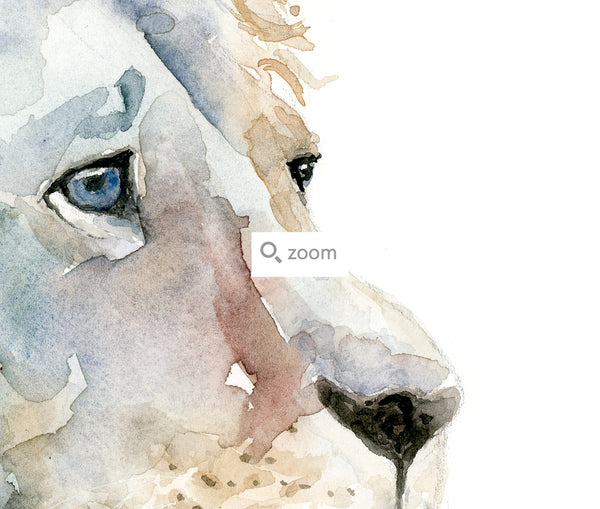 Introspective Lion Watercolor Art Print