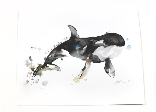 Orca (Killer) Whale Original Watercolor Painting
