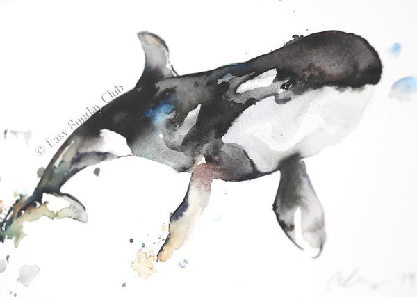 orca whale watercolor art