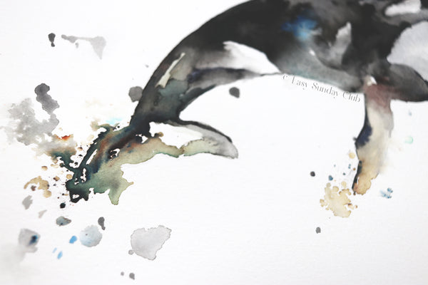 Orca (Killer) Whale Original Watercolor Painting