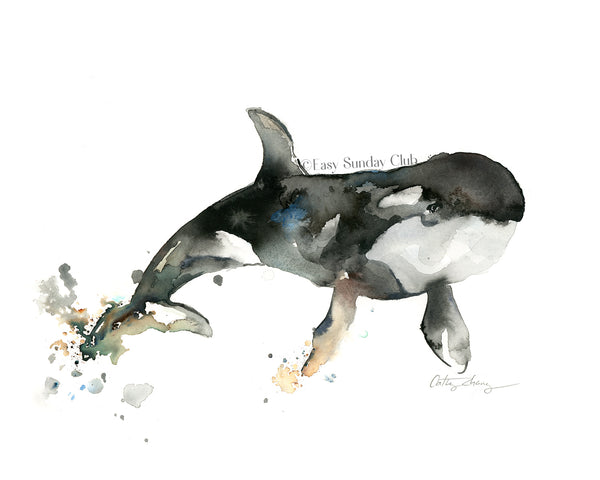 orca whale watercolor art