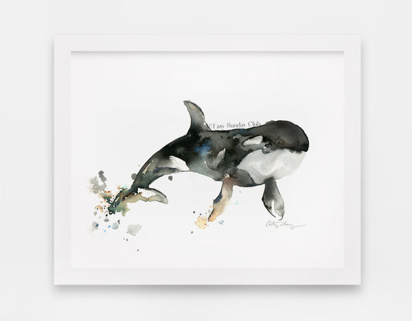 orca whale watercolor | killer whale watercolor art