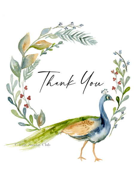 Peacock - Thank You Card