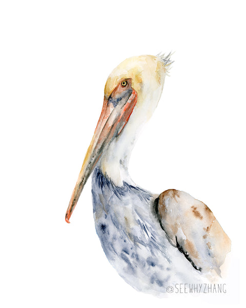California Pelican Watercolor Art Print