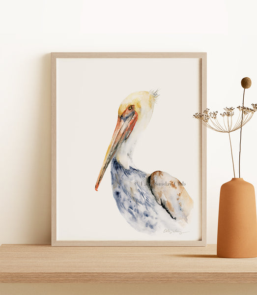 California Pelican Watercolor Art Print