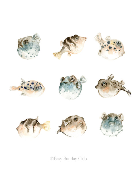 pufferfish, puffer fish, blowfish watercolor art print