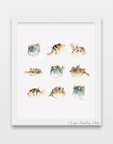 pufferfish, puffer fish, blowfish watercolor art print