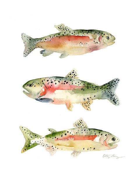 rainbow trout watercolor art