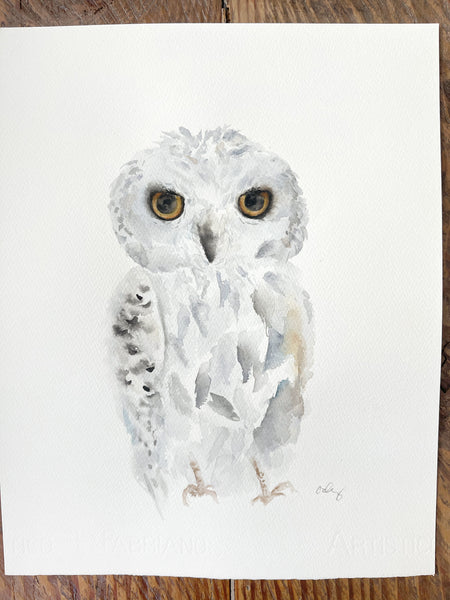 snowy owl watercolor painting by Cathy Zhang