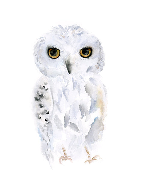 Snowy Owl Original Watercolor Painting - 11"x14"