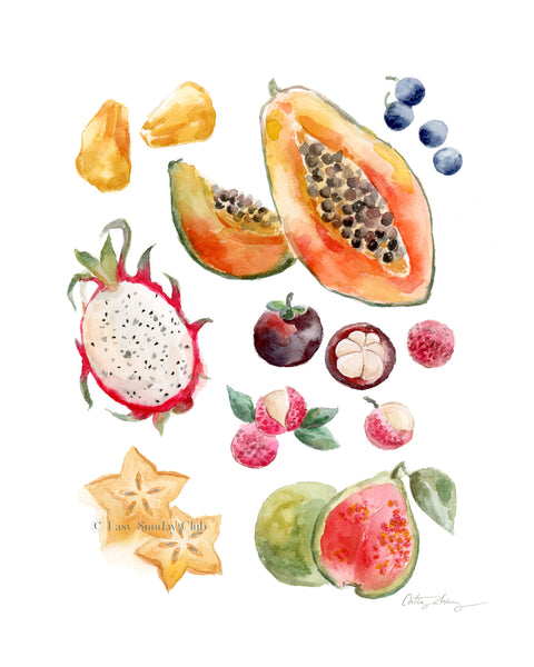 Uncommon Tropical Fruits Watercolor Art Print