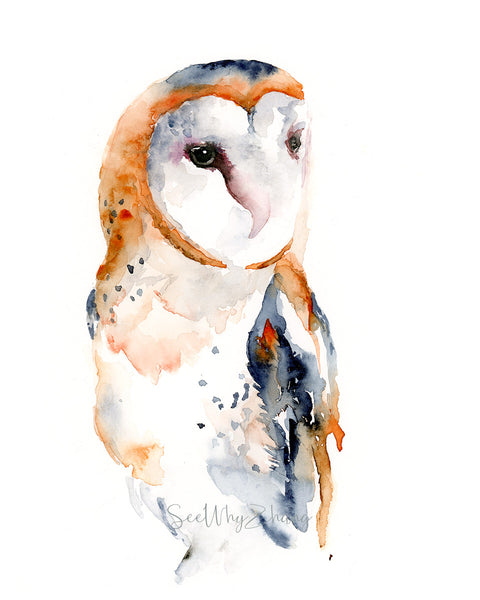 Barn Owl Contemporary Watercolor Art Print