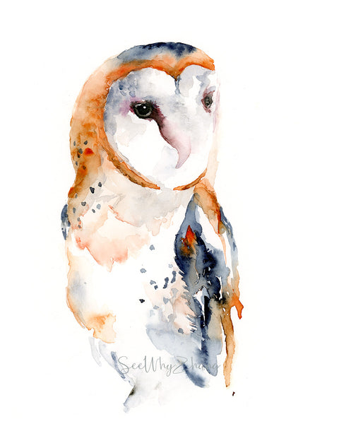 Barn Owl Contemporary Watercolor Art Print